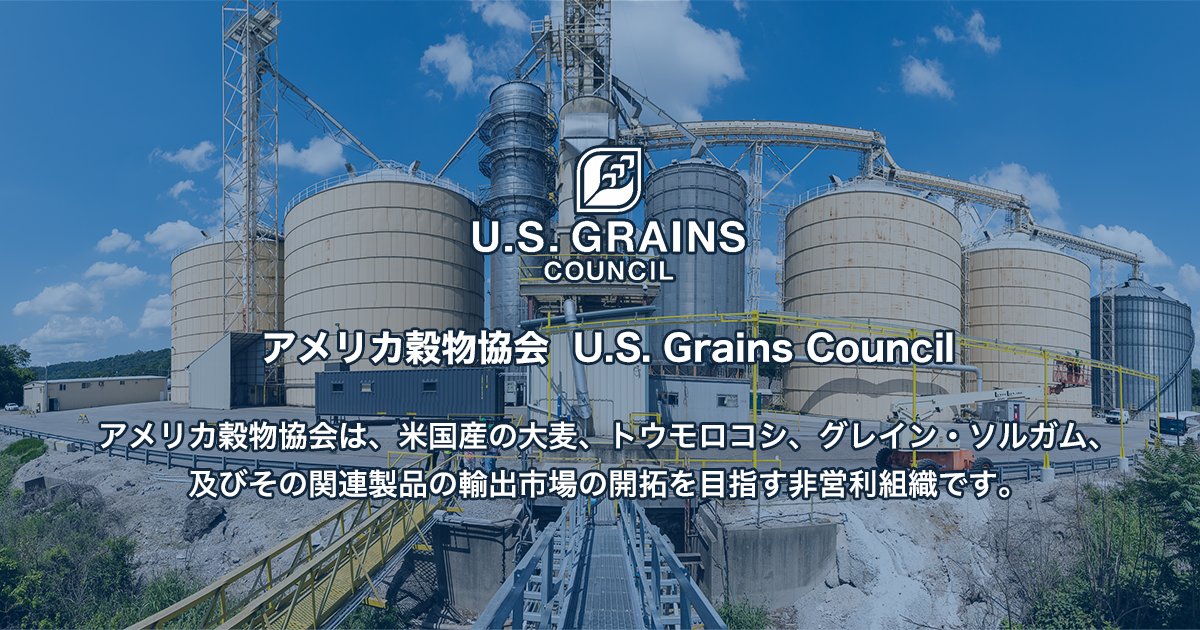 グレイン ソルガム ソルガムきび アメリカ穀物協会 U S Grains Council