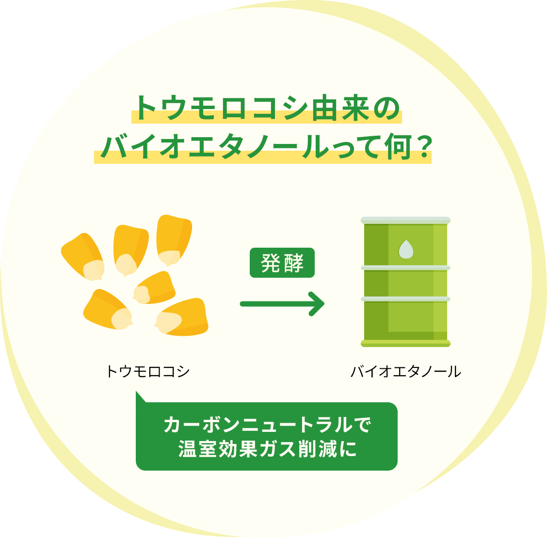 トウモロコシ由来のバイオエタノールって何？ トウモロコシを発酵させてバイオエタノールにする カーボンニュートラルで温室効果ガス削減に