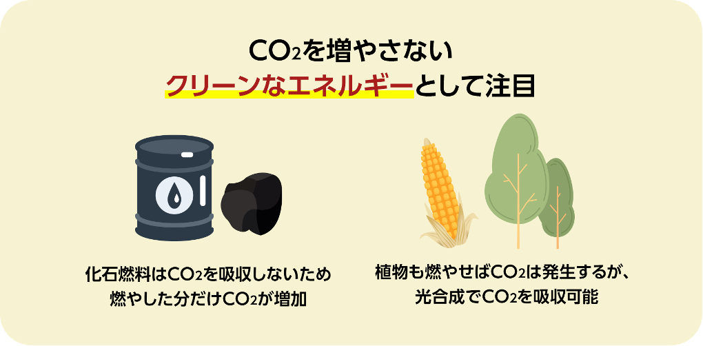 CO2を増やさないクリーンなエネルギーとして注目
化石燃料はCO2を吸収しないため燃やした分だけCO2が増加
植物も燃やせばCO2は発生するが、光合成でCO2を吸収可能