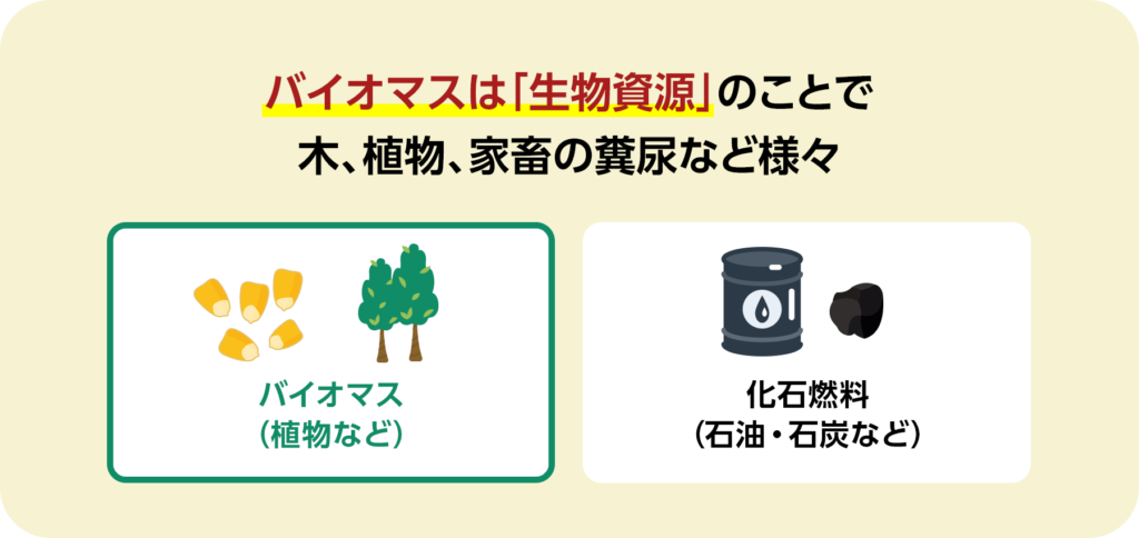 バイオマスは「生物資源」のことで木、植物、家畜の糞尿など様々。