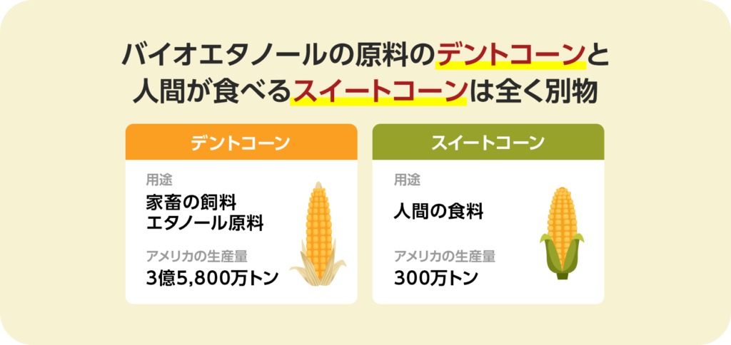 バイオエタノールの原料のデントコーンと人間が食べるスイートコーンは全く別物。デントコーンの用途は家畜の飼料、エタノール原料で、アメリカでの生産量は3億5,800万トン。スイートコーンの用途は主に人間のショック料で、アメリカでの生産量は300万トン。