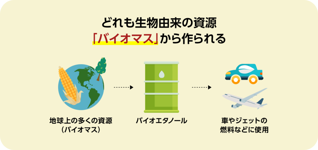 どれも生物由来の資源「バイオマス」から作られる。地球上の多くの資源（バイオマス）からバイオエタノールが作られ、車やジェットの燃料などに使用される。