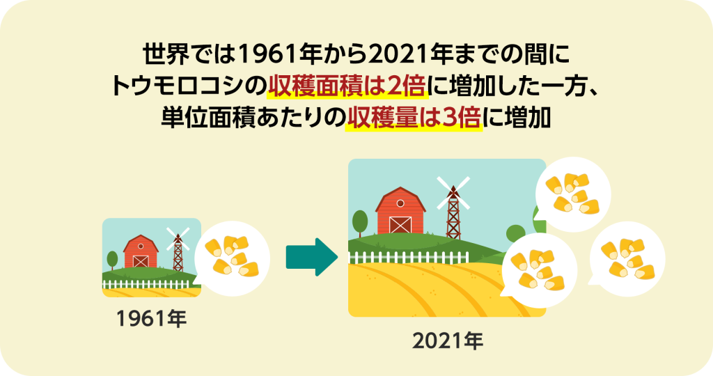 世界では1961年から2021年までの間にトウモロコシの収穫面積は2倍に増加した一方、単位面積あたりの収穫量は3倍に増加