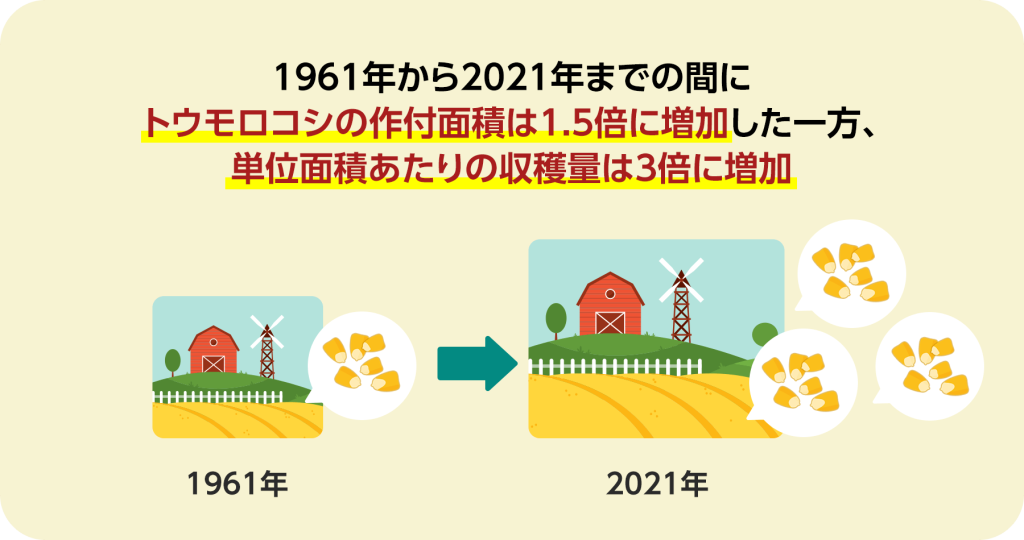 1961年から2021年までの間にトウモロコシの作付面積は1.5倍に増加した一方、単位面積あたりの収穫量は3倍に増加。