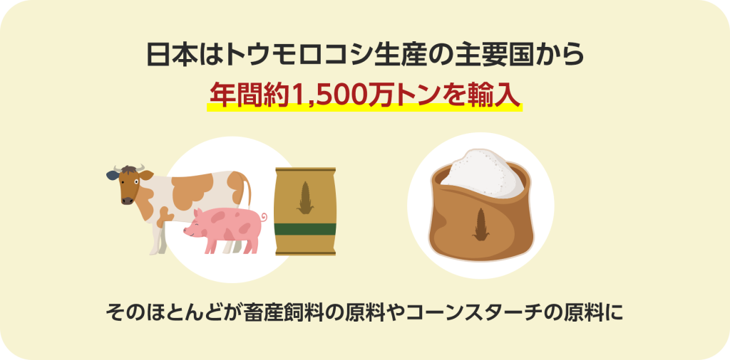 日本はトウモロコシ生産の主要国から 年間約1,500万トンを輸入 そのほとんどが畜産飼料の原料やコーンスターチの原料に