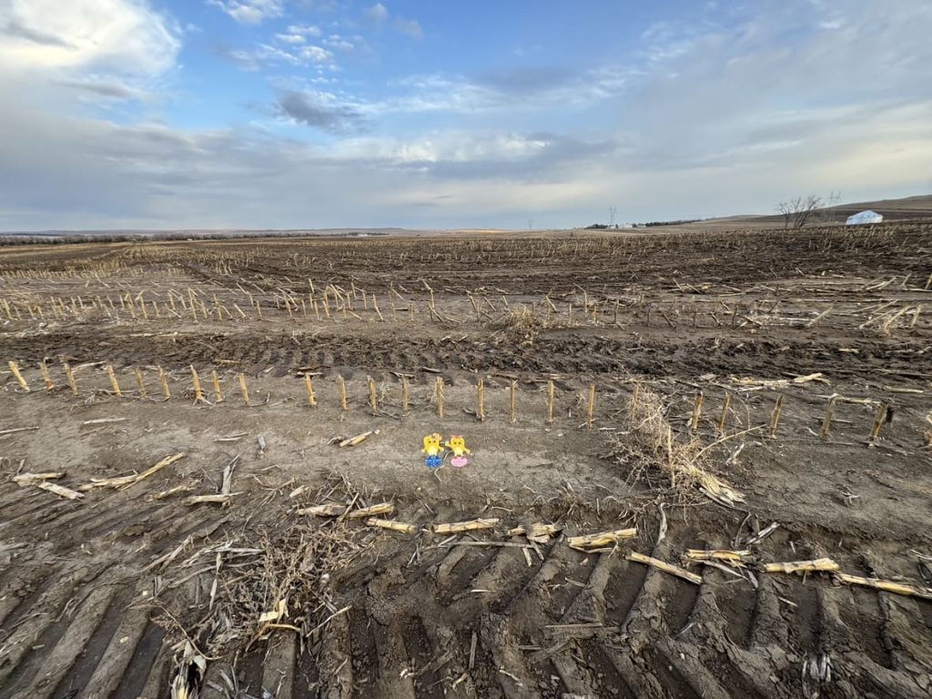 ノースダコタ州の農場の広い畑