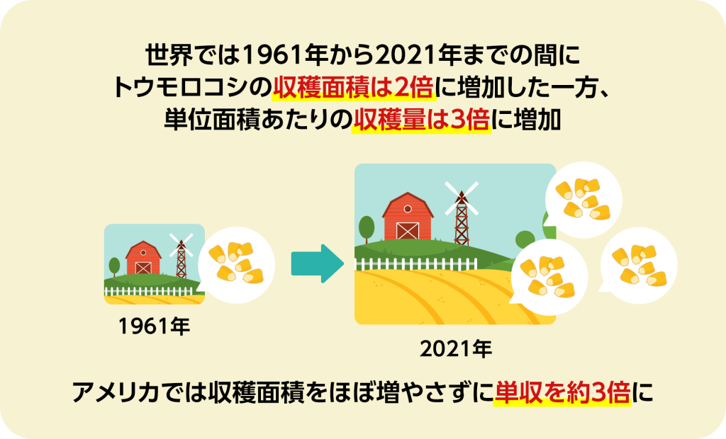世界では1961年から2021年までの間にトウモロコシの収穫面積は2倍に増加した一方、単位面積あたりの収穫量は3倍に増加しました。アメリカでは収穫面積をほぼ増やさずに単収を約3倍に増加させています。