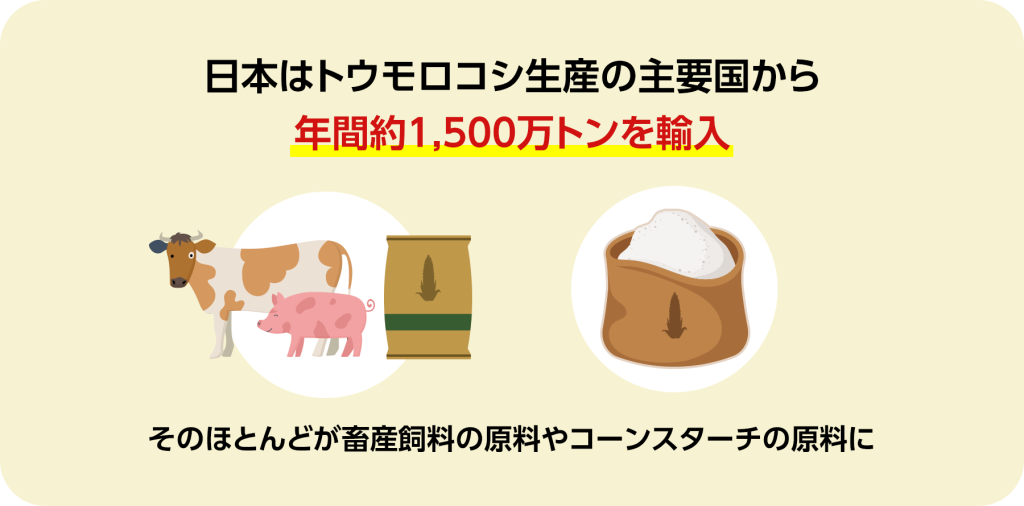 日本はトウモロコシ生産の主要国から年間約1,500万トンを輸入しています。そのほとんどが畜産飼料の原料やコーンスターチの原料になっています