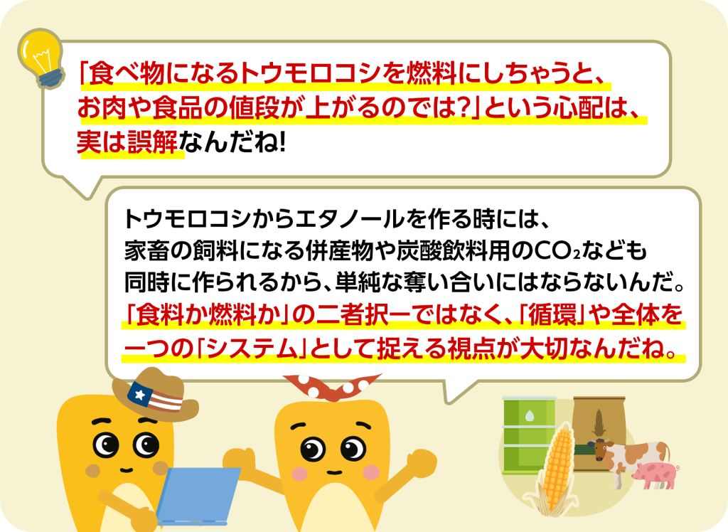 「食べ物になるトウモロコシを燃料にしちゃうと、お肉や食品の値段が上がるのでは？」という心配は、実は誤解なんだね！ トウモロコシからエタノールを作る時には、家畜の飼料になる併産物や炭酸飲料用のCO2なども同時に作られるから、単純な奪い合いにはならないんだ。「食料か燃料か」の二者択一ではなく、「循環」や全体を一つの「システム」として捉える視点が大切なんだね。